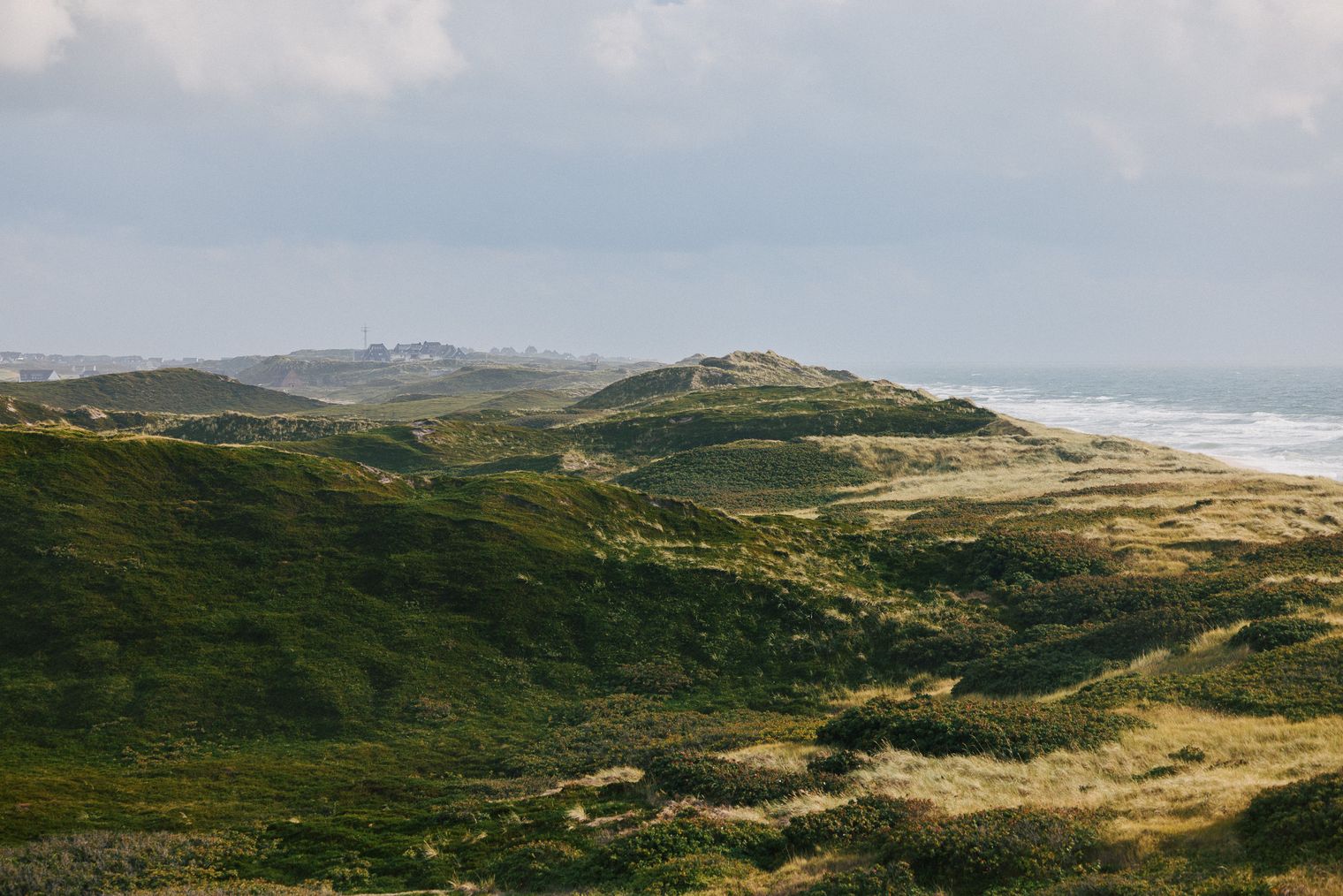 Weite Dünenlandschaft mit Grasbewuchs, die sanft zum Meer hin abfällt. Im Hintergrund ist das Meer unter einem wolkigen Himmel sichtbar.
