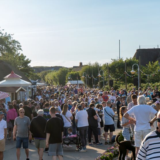 Viele Besucher auf einem Straßenfest mit Gastro-Ständen