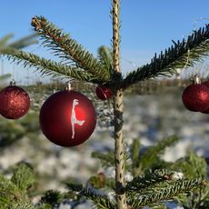 Ein Weihnachtsbaum im Freien mit roten Kugeln, eine davon mit der Silhouette der Insel Sylt verziert, vor einem blauen Himmel. 