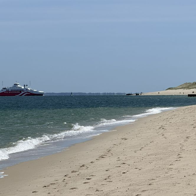 Große Fähre auf dem Meer vor einem langen Sandstrand mit Dünen unter blauem Himmel.