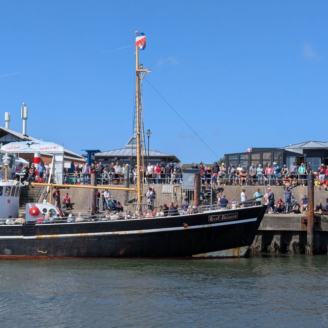 Billedet viser maritime aktiviteter i havnen.