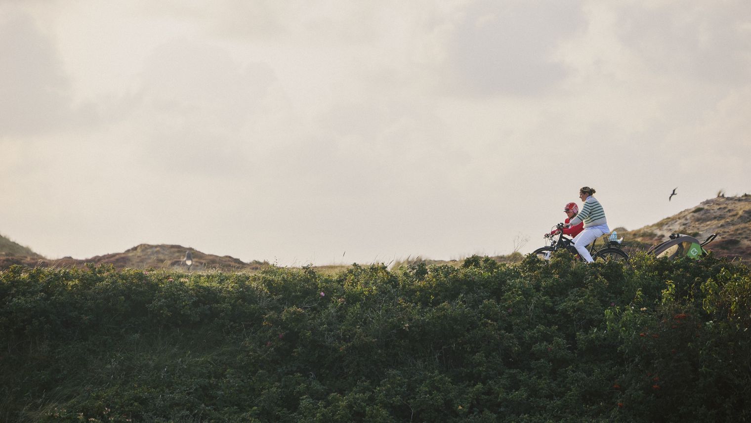 Eine Person radelt mit einem Fahrrad und Anhänger durch die Dünen. Im Hintergrund erhebt sich ein Leuchtturm vor einem bewölkten Himmel.
