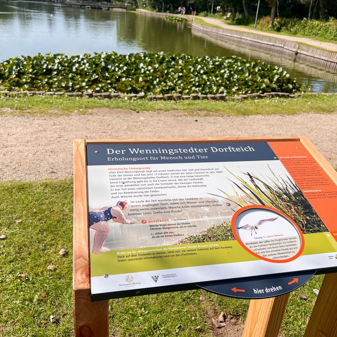 Infotafel zum Dorfteich an dessen Ufer