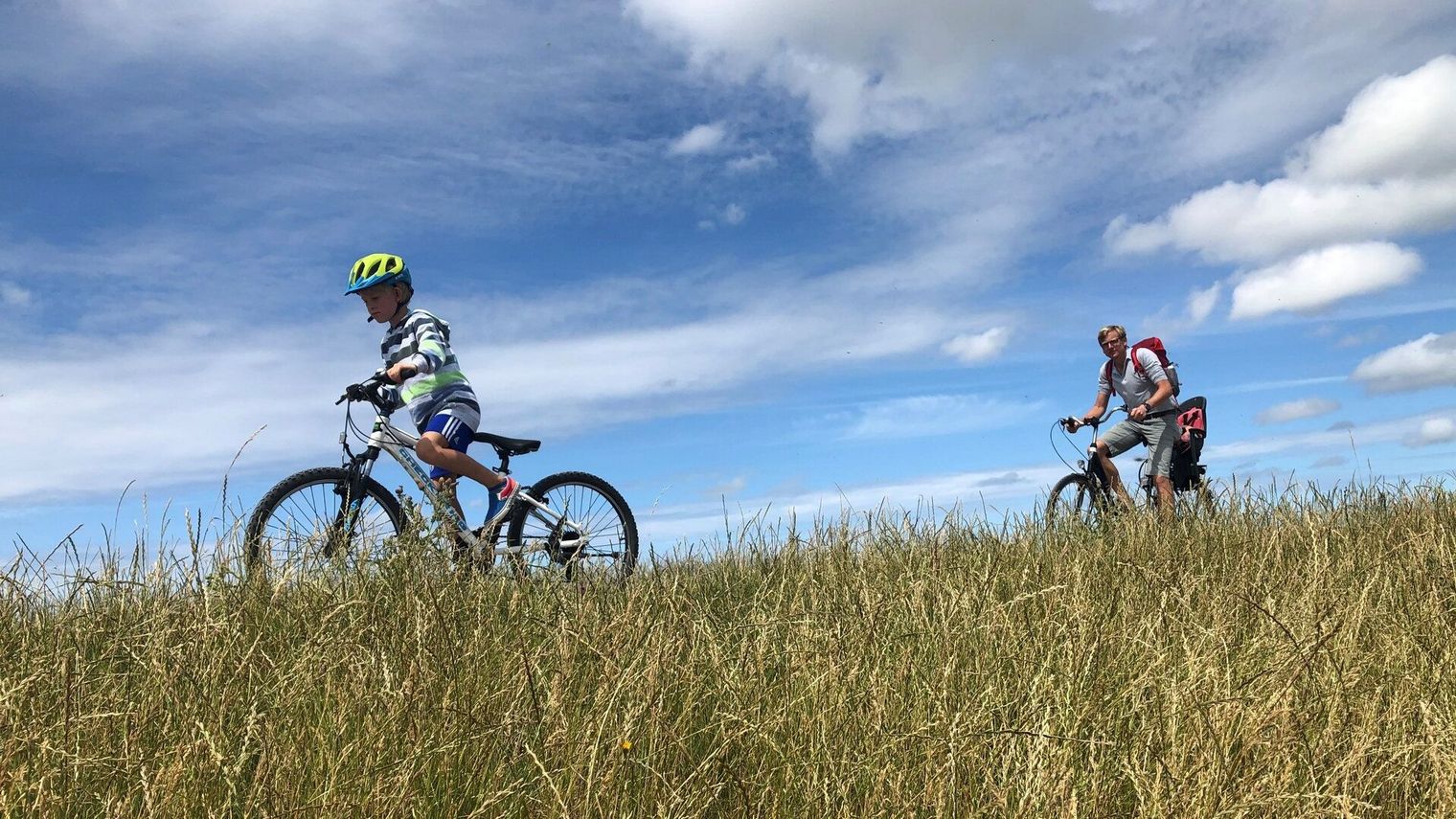 Kind und Erwachsener fahren bei Sonnenschein Fahrrad an einer Wiese.