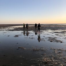 Gruppe wandert bei Sonnenaufgang durch das Watt auf feuchtem Boden.