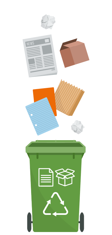 Papier und Pappe in grüne Papiertonne werfen