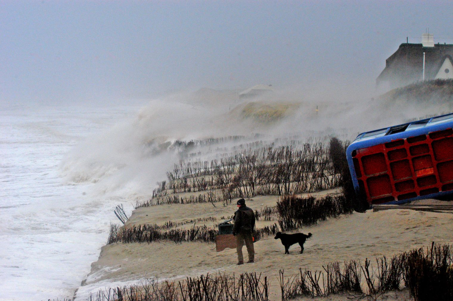 Sturmwellen treffen auf Steilküste, Mensch und Hund stehen nahe der Kante.