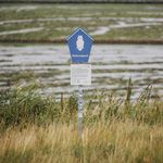 Nationalpark-Schild mit Eulen-Symbol vor dem Wattenmeer und Salzwiesen.