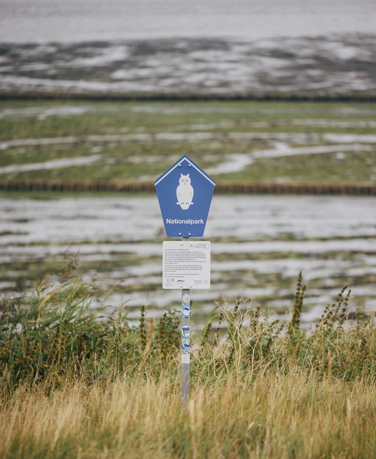 Nationalpark-Schild mit Eulen-Symbol vor dem Wattenmeer und Salzwiesen.