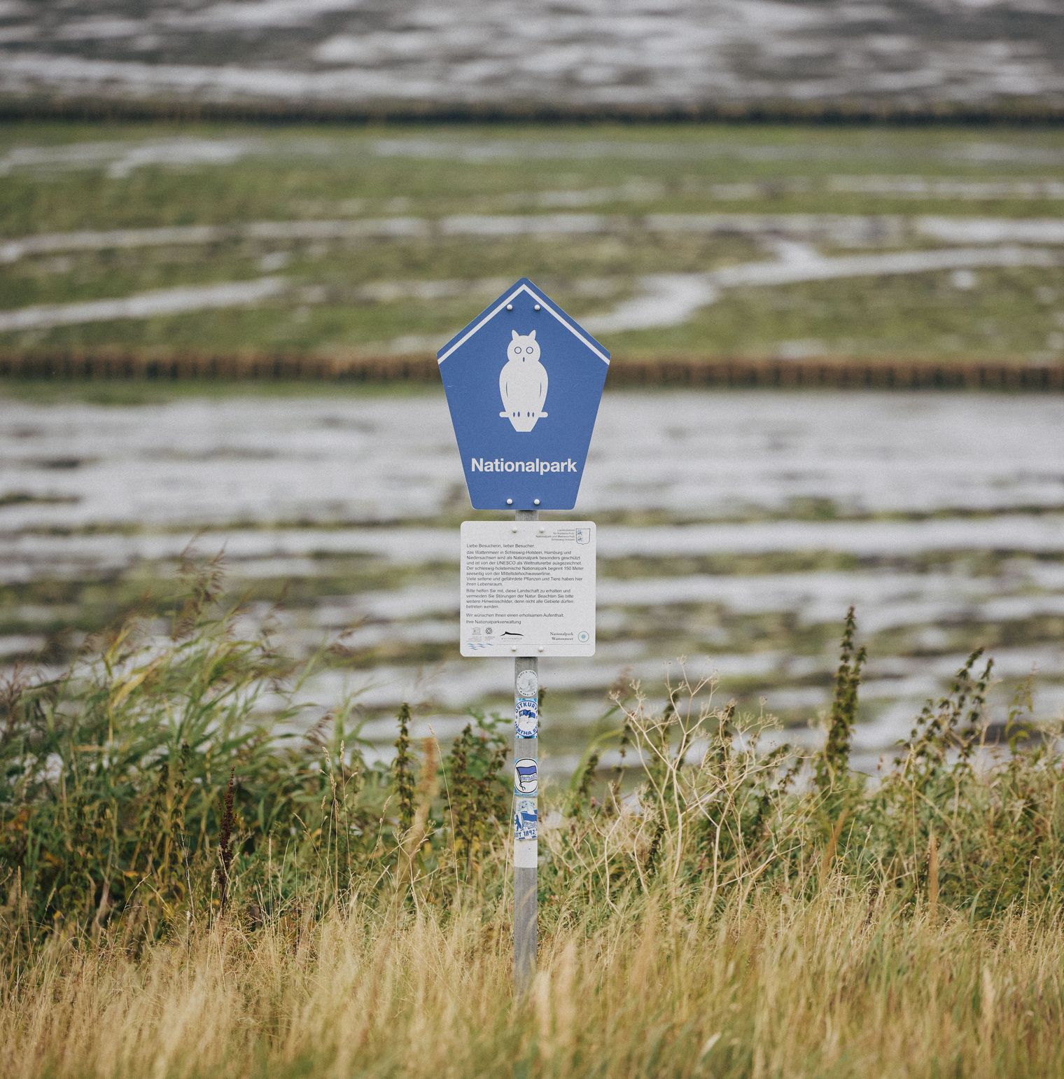 Nationalpark-Schild mit Eulen-Symbol vor dem Wattenmeer und Salzwiesen.