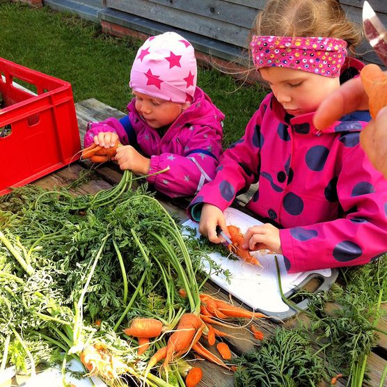 Kinder putzen Karotten
