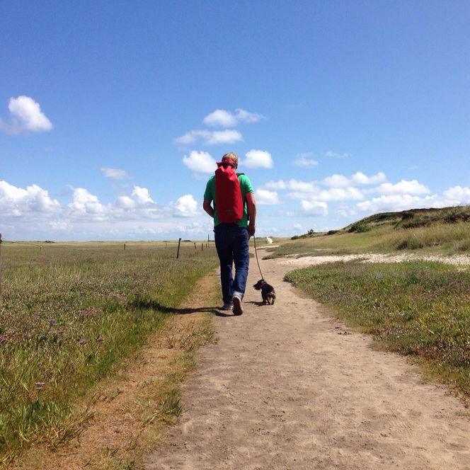 Ein Mann mit rotem Rucksack und grünem T-Shirt geht mit einem Dackel an der Leine auf einem schmalen Weg durch eine grüne Landschaft unter blauem Himmel.