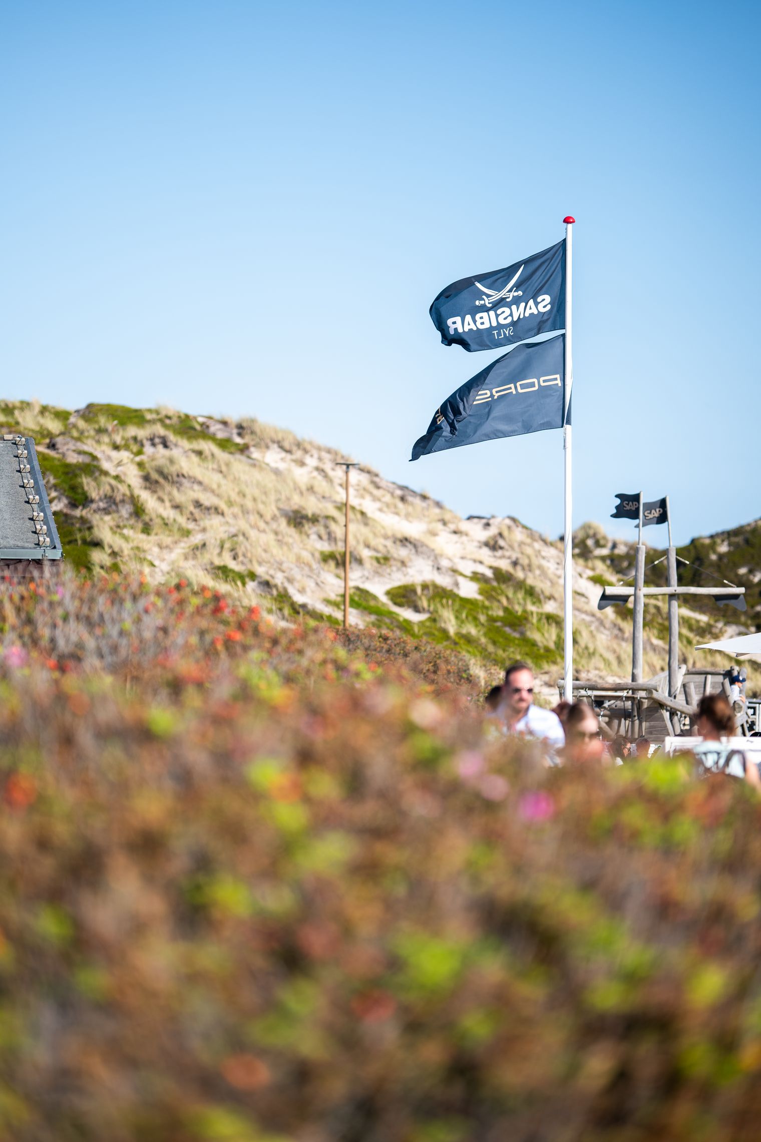 Sansibar-Flaggen wehen vor Dünenlandschaft