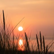 Sonnenuntergang am Strand