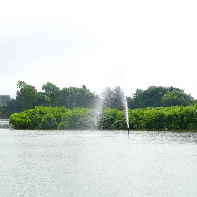 Fontäne in einem ruhigen Teich mit grüner Insel im Hintergrund