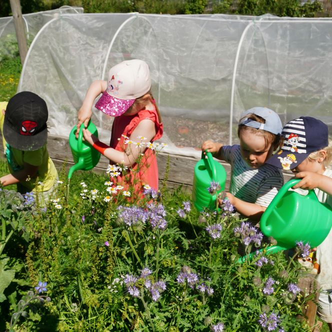 Kinder beim Gießen eines Blumenbeetes mit Gießkannen