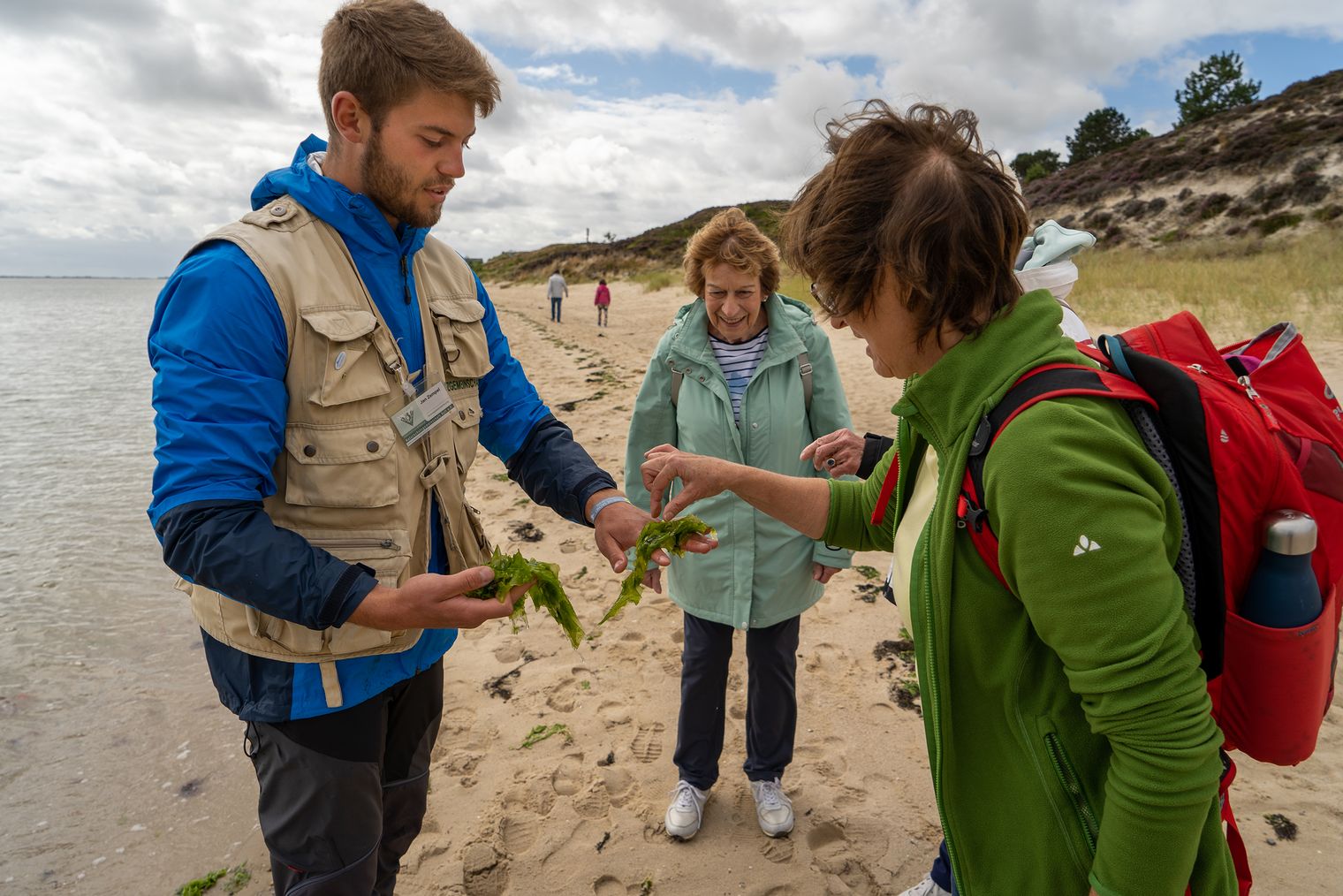 Meersalat im Braderuper Watt bei der Heidewanderung