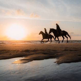 Zwei Reiter:innen auf Pferden am Strand bei Sonnenuntergang.