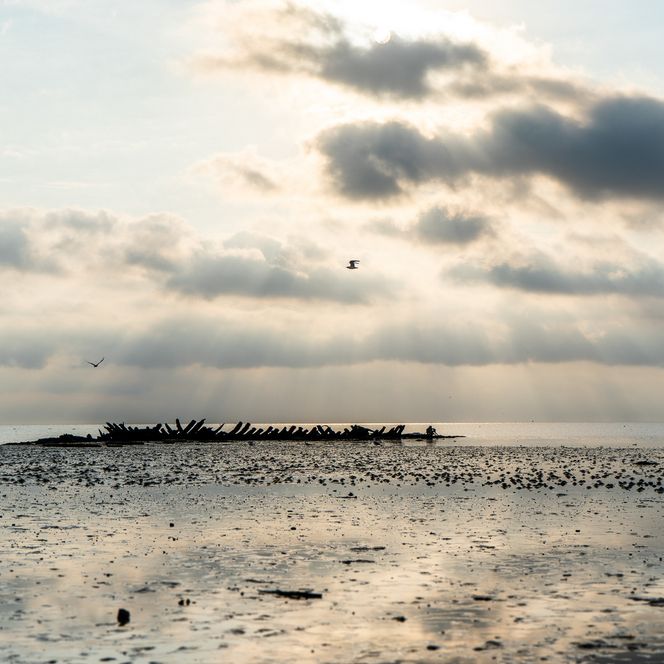 Schiffswrack Mariann bei Ebbe